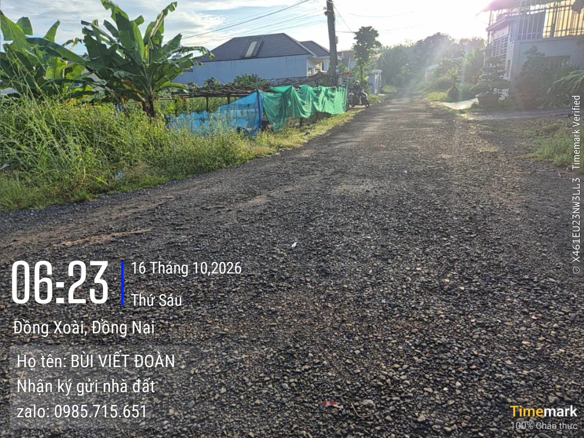 Bán đất Khu Phương Đông Trường Y 312.5m² 1.55 tỷ - Ảnh thu nhỏ 3