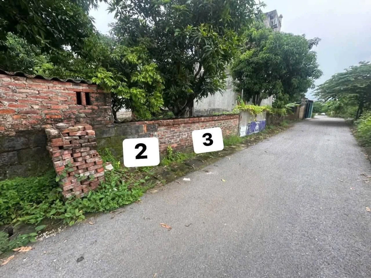 Bán đất 74m2 đường Ngô Trang, Bình Chánh 1 tỷ 6 - Ảnh thu nhỏ 3