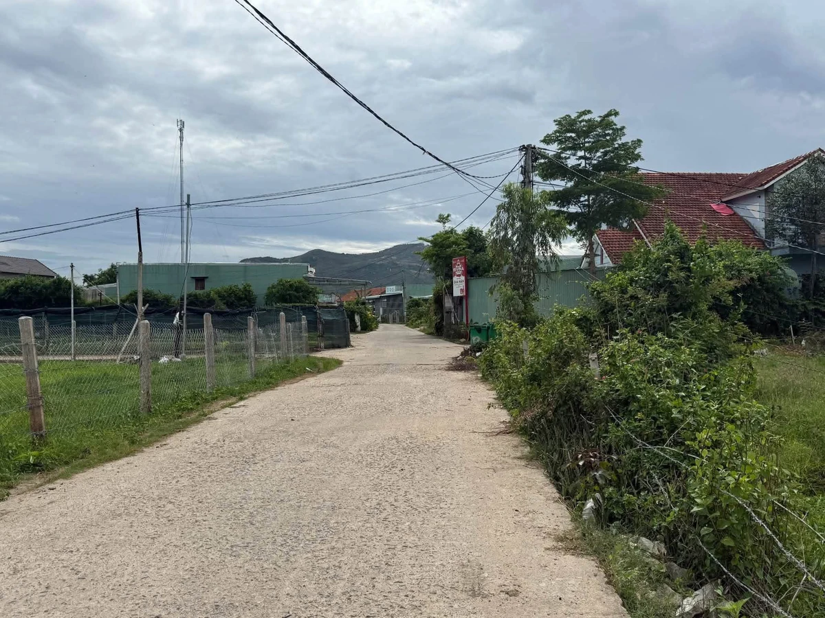 Bán đất Bình An 2 450m² ngang 10m, sổ hồng - Ảnh thu nhỏ 2