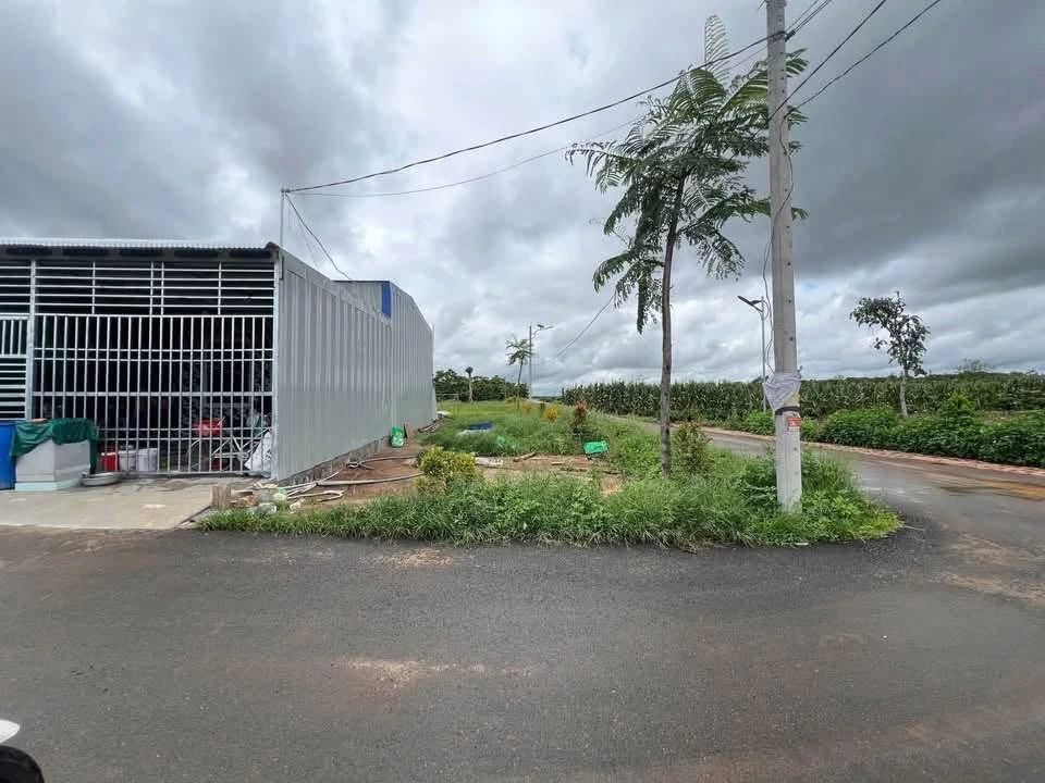 Bán lô góc 2 mặt tiền 72m² Lâm Đồng 790 triệu - Ảnh 1