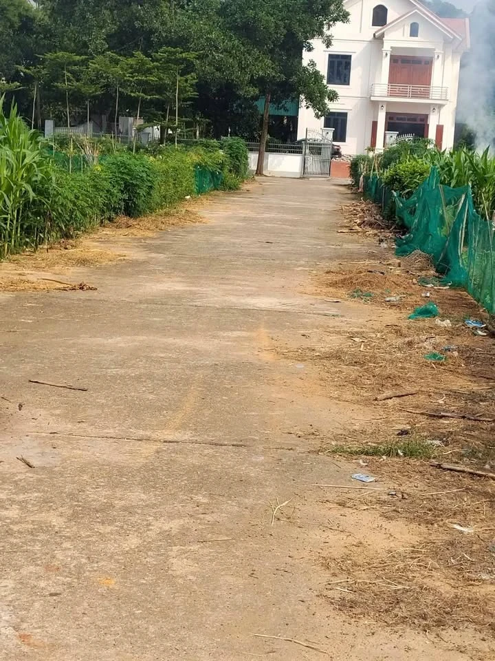 Bán đất nền 120m2, mặt tiền 6m tại Thanh Đình, Việt Trì, 1 tỷ 480 triệu - Ảnh thu nhỏ 3