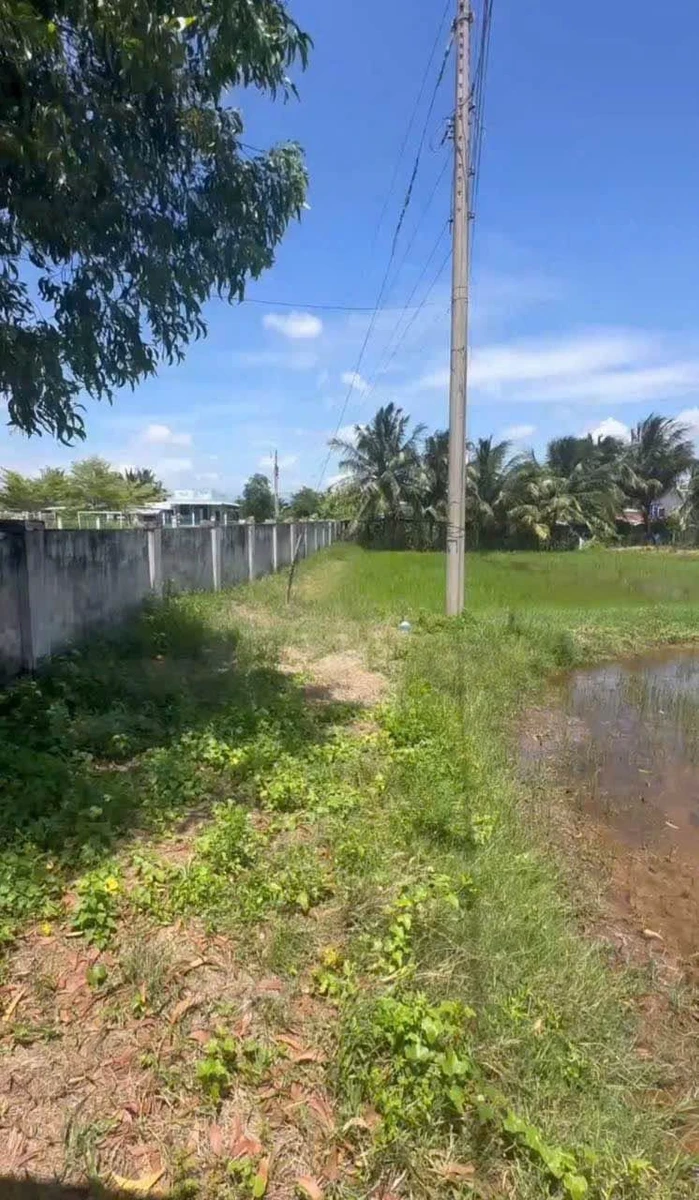 Bán 500m đất cây trồng Hồng Sơn, Lâm Đồng 135 triệu - Ảnh thu nhỏ 3