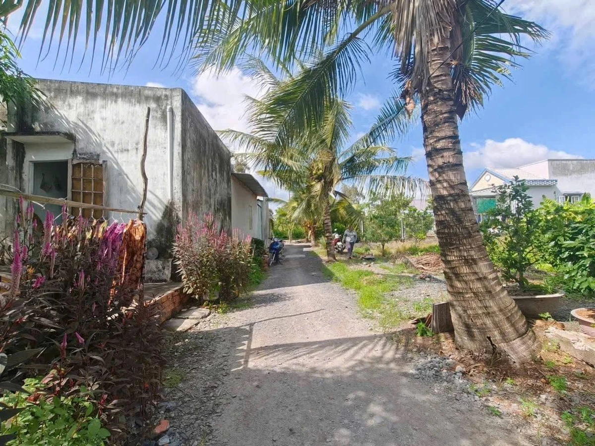 Bán 500m2 đất thổ cư cách ĐT816 100m, Bình Đức, Bến Lức, Long An, giá 1,55 tỷ - Ảnh thu nhỏ 2