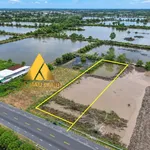 Bán đất nền 1300m² Quốc Lộ 1A, Cà Mau 2 tỷ - Ảnh thu nhỏ 3