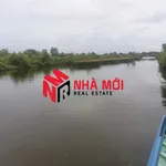 Bán đất vuông 36 công Ấp Cái Cám, Cà Mau - Ảnh thu nhỏ 4