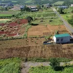 Bán đất 200m2, 2 mặt tiền, gần Đambri, Lâm Đồng - Ảnh thu nhỏ 3
