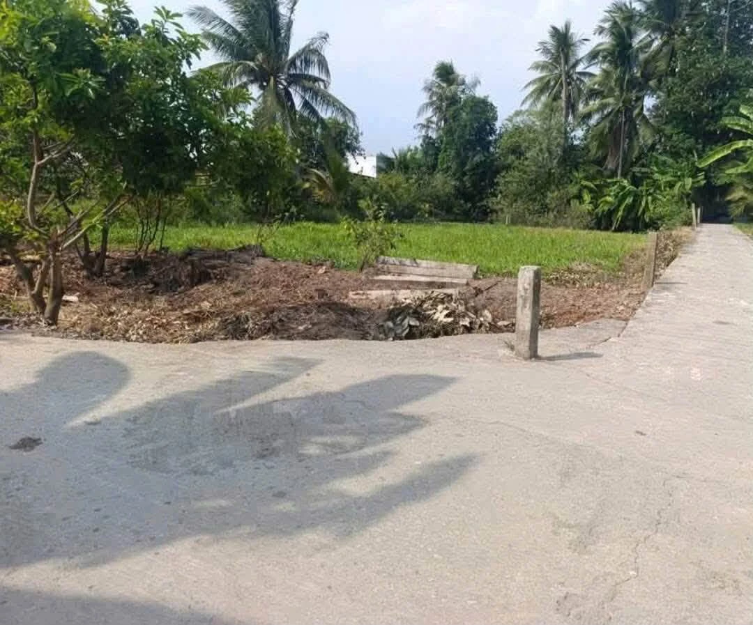 Bán gấp đất thổ cư 5x30m (150m2) giá 430 triệu đường Phạm Công Thận, Tân Trụ, Long An - Ảnh thu nhỏ 2