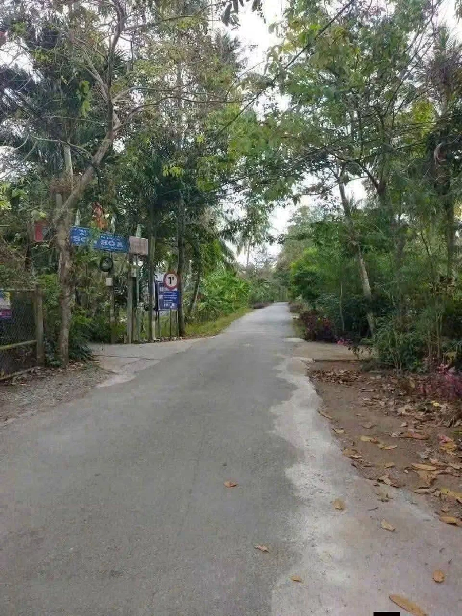 Bán đất mặt tiền 1.202m² Phường An Hội, Vĩnh Long - Ảnh thu nhỏ 3