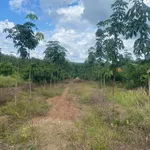 Bán 7 hectare đất cao su Phú Trung, Bình Phước - Ảnh thu nhỏ 1