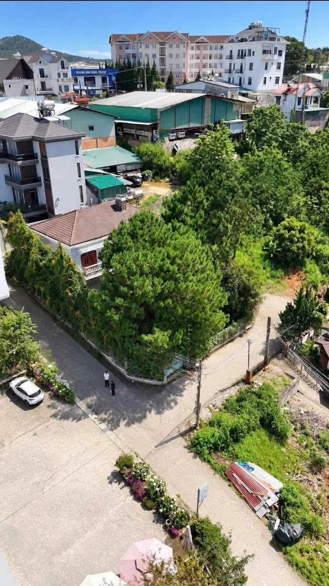 Bán villa Đà Lạt xưa 525m² Hùng Vương 23.5 tỷ - Ảnh thu nhỏ 2