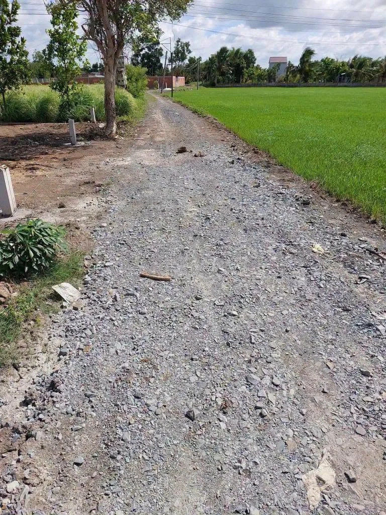 Bán lô đất tổ 5×25m (125m²) Mỹ Lệ, Cần Đước, Long An 600 triệu - Ảnh 1