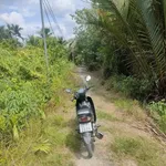 Bán đất vườn 2000m2 đường Đá Xanh Bến Lức 2 tỷ 400 triệu - Ảnh thu nhỏ 3