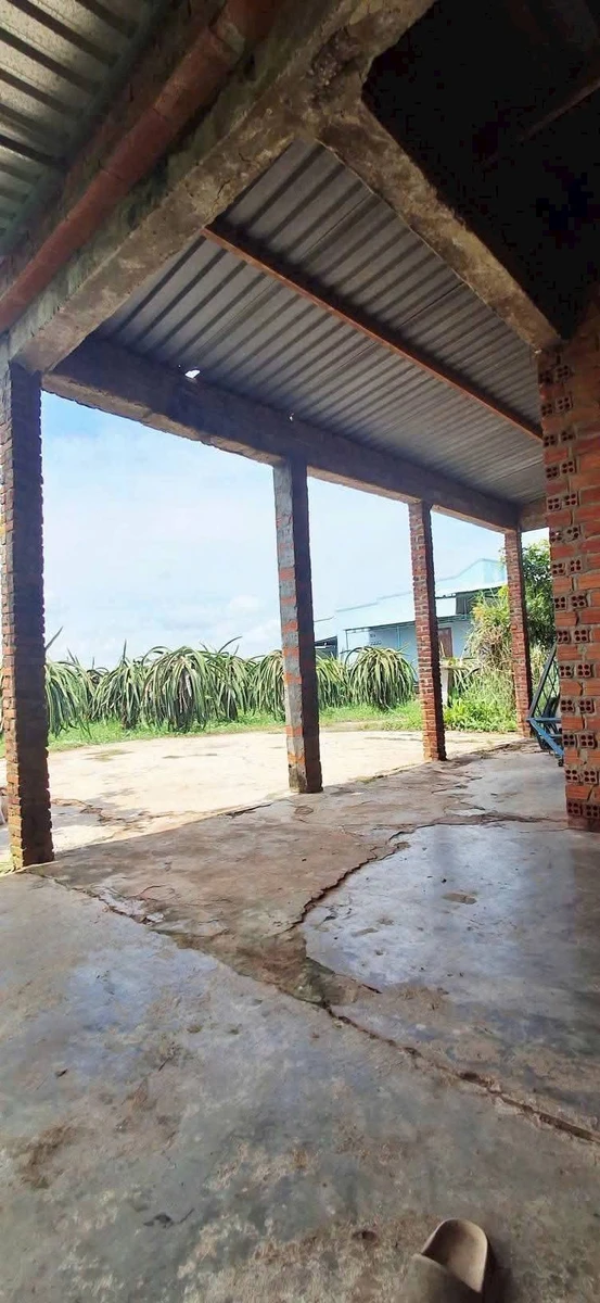 Bán đất thổ cư 600m² Tuyên Quang, Lâm Đồng 550 triệu - Ảnh 1