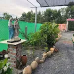 Bán nhà vườn 1000m² Đức Huệ Long An, giá 1 tỷ 650 - Ảnh thu nhỏ 4