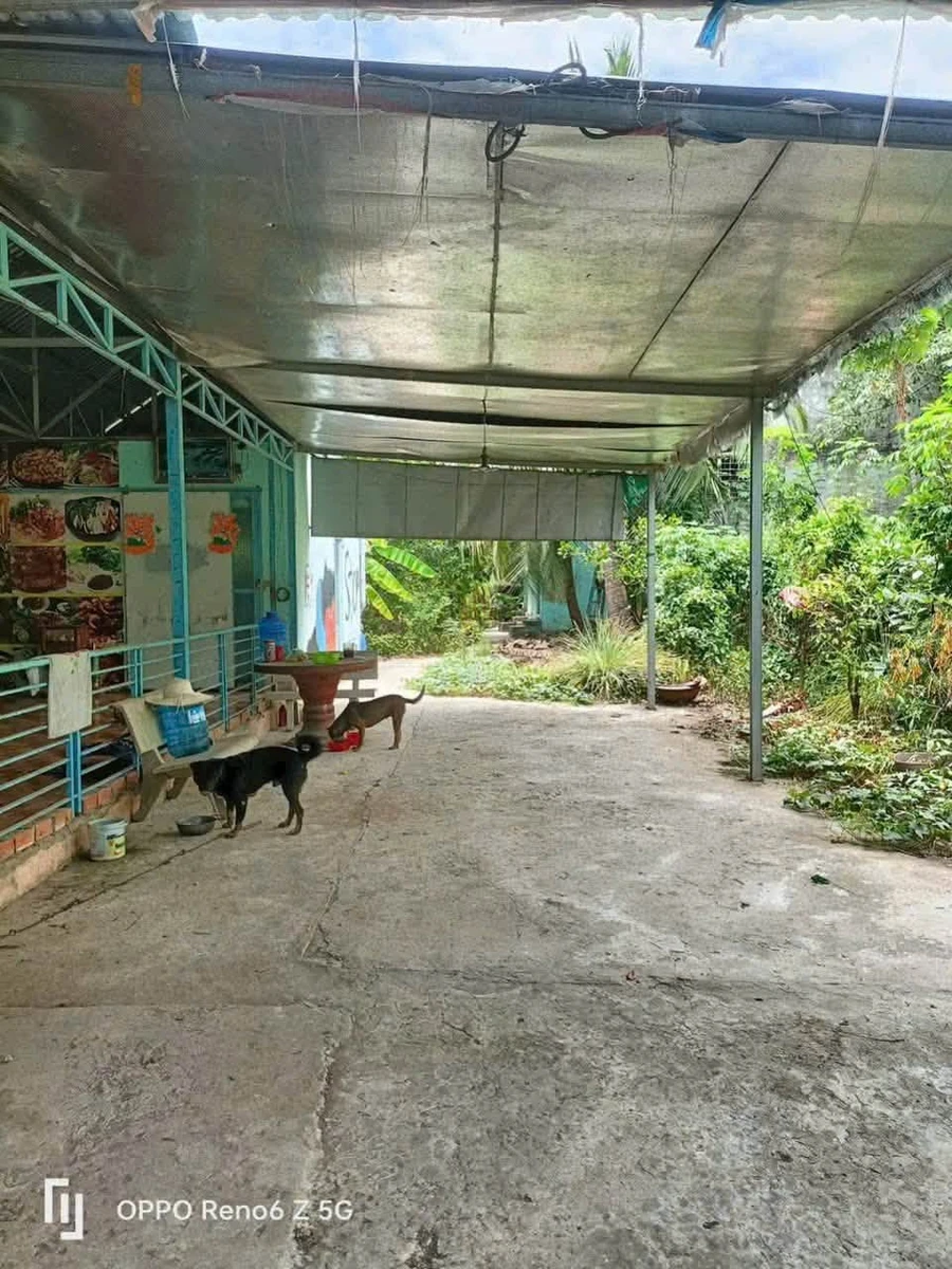 Bán đất 813.9m² gần Khu công nghiệp Giao Long, Vĩnh Long - 1.95 tỷ - Ảnh thu nhỏ 2