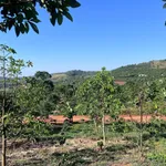 Bán đất 5.919m² mặt tiền 59m view đồi núi ven Đà Lạt, 8 tỷ - Ảnh thu nhỏ 3