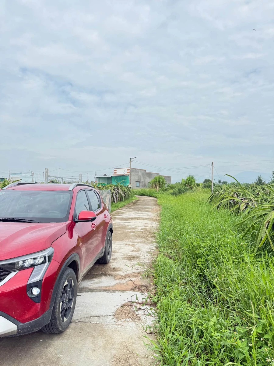 Bán 900m² đất mặt tiền Hàm Liêm, gần Phan Thiết, 479 triệu - Ảnh thu nhỏ 3