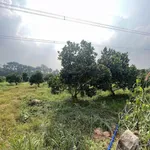 Bán đất tại 1 Sẹc đường Chánh Phú Hòa 045, phường Chánh Phú Hòa, 26 tỷ, 2200m2 - Ảnh thu nhỏ 2