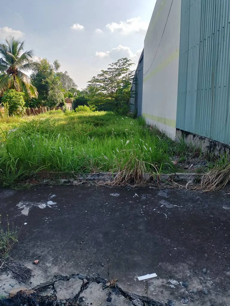 Bán lô đất thổ 250m2 mặt tiền 827B Châu Thành Long An, 2 tỷ - Ảnh thu nhỏ 4