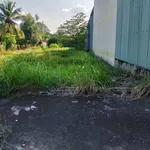 Bán lô đất thổ 250m2 mặt tiền 827B Châu Thành Long An, 2 tỷ - Ảnh thu nhỏ 4