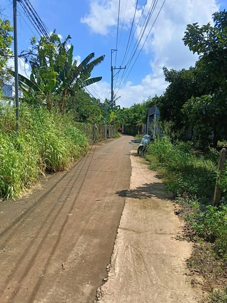 Bán đất Phường Dầu Giây 165m² sổ riêng 6 tỷ - Ảnh thu nhỏ 5