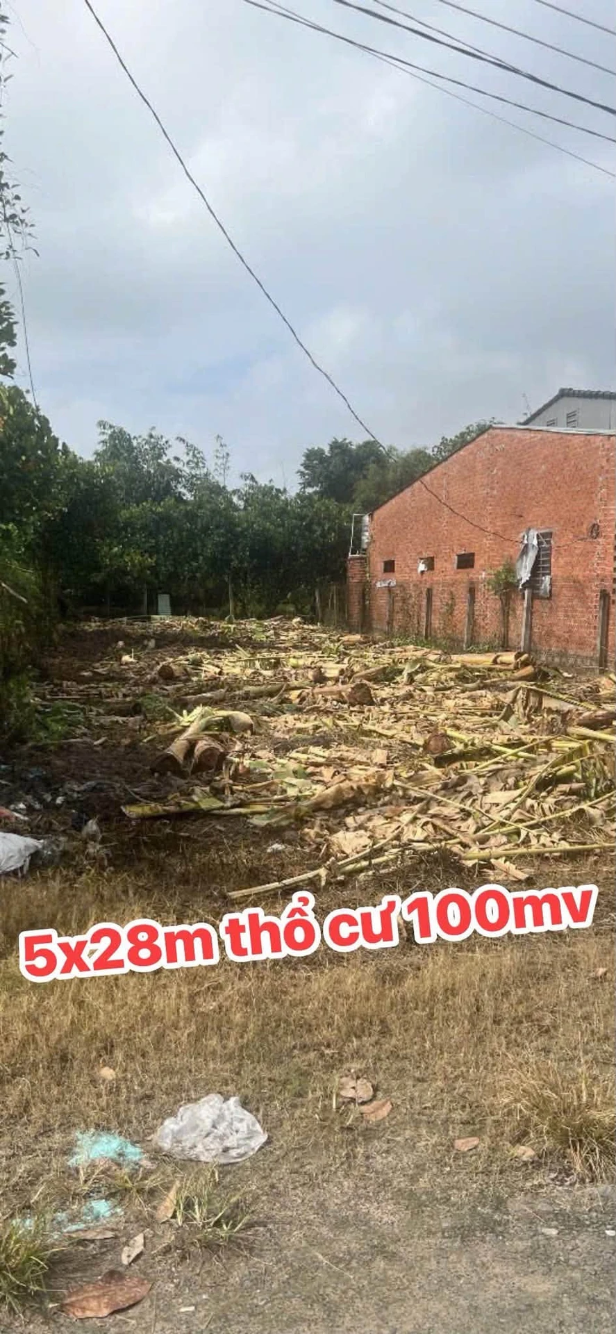 Bán đất 140m² Đường 24 Nguyễn Lương Bằng, Tây Ninh - Ảnh 1