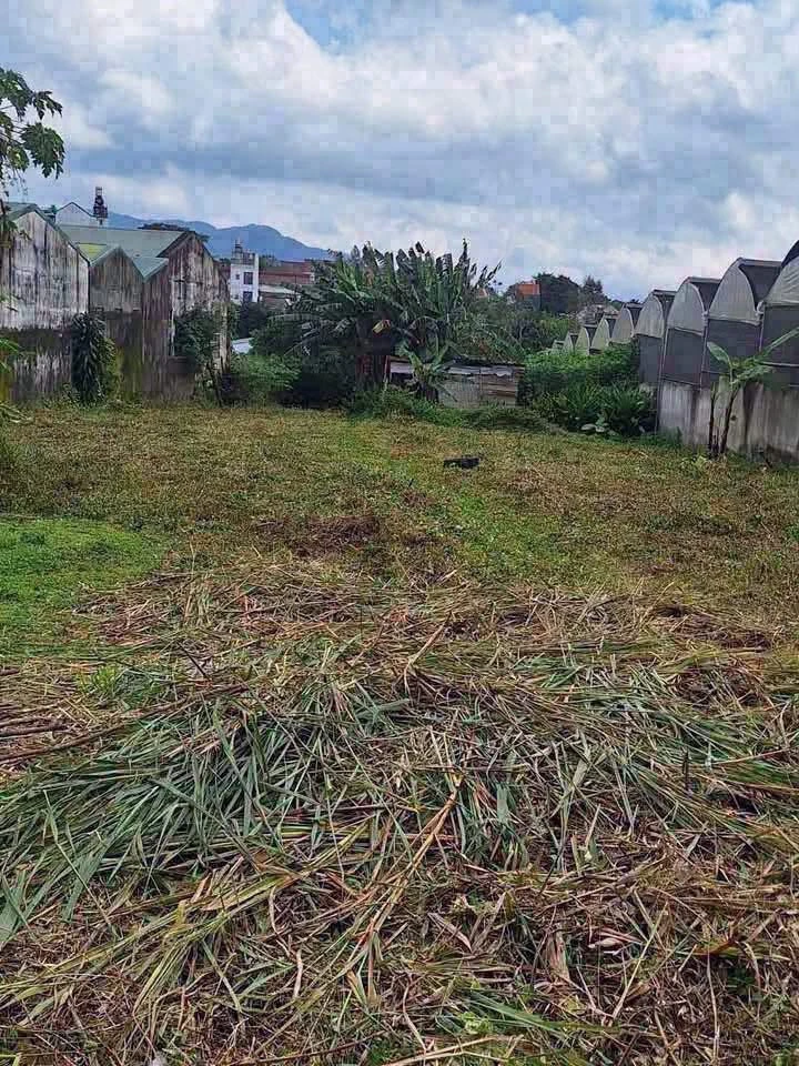 Bán đất 2220m2 mặt tiền 15m đường Nguyễn Hữu Chỉnh, Phường 2, Bảo Lộc - Ảnh thu nhỏ 5