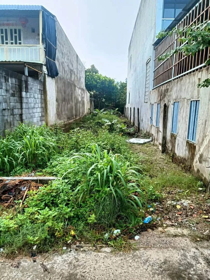 Bán đất mặt tiền 150m² Tân An Bình Dương - Ảnh 1