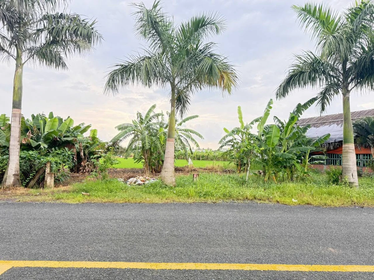 Bán 2 lô đất mặt tiền Nguyễn Hoàng Anh, 125m2, Tân Trụ 1,3 tỷ - Ảnh 1