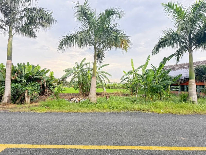 Bán 2 lô đất mặt tiền Nguyễn Hoàng Anh, 125m2, Tân Trụ 1,3 tỷ
