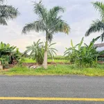 Bán 2 lô đất mặt tiền Nguyễn Hoàng Anh, 125m2, Tân Trụ 1,3 tỷ - Ảnh thu nhỏ 1