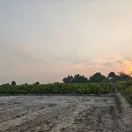 Bán đất 1,7ha Hảo Đước, Châu Thành, Tây Ninh, mặt tiền lớn, có 3.800m² đất thổ cư - Ảnh thu nhỏ 3