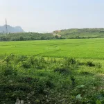 Bán đất 221,9m2 tại Lộc Môn, xã Liên Sơn, 1,2 tỷ, view đẹp chỉ với - Ảnh thu nhỏ 4