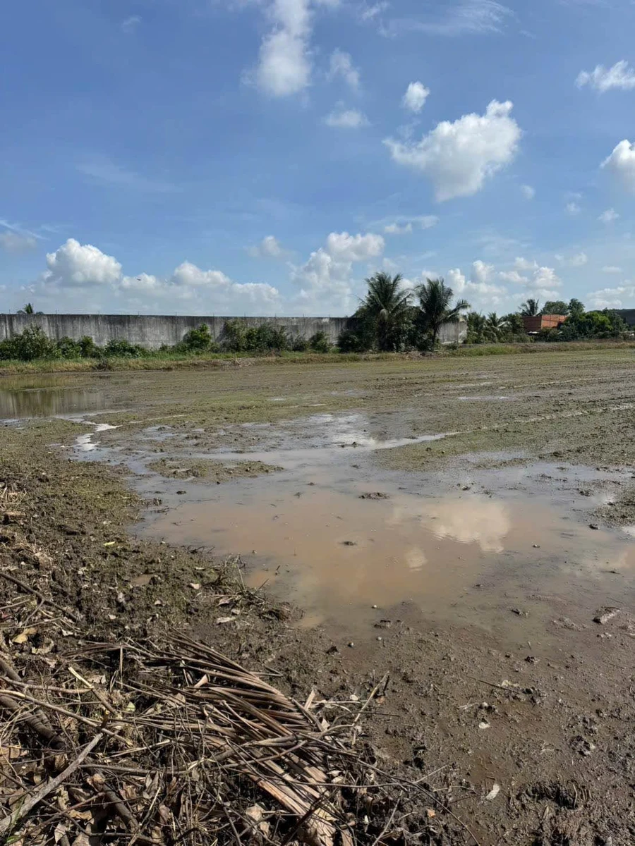 Bán 1000m² đất lúa Bến Lức Long An, mặt tiền kênh - Ảnh thu nhỏ 2