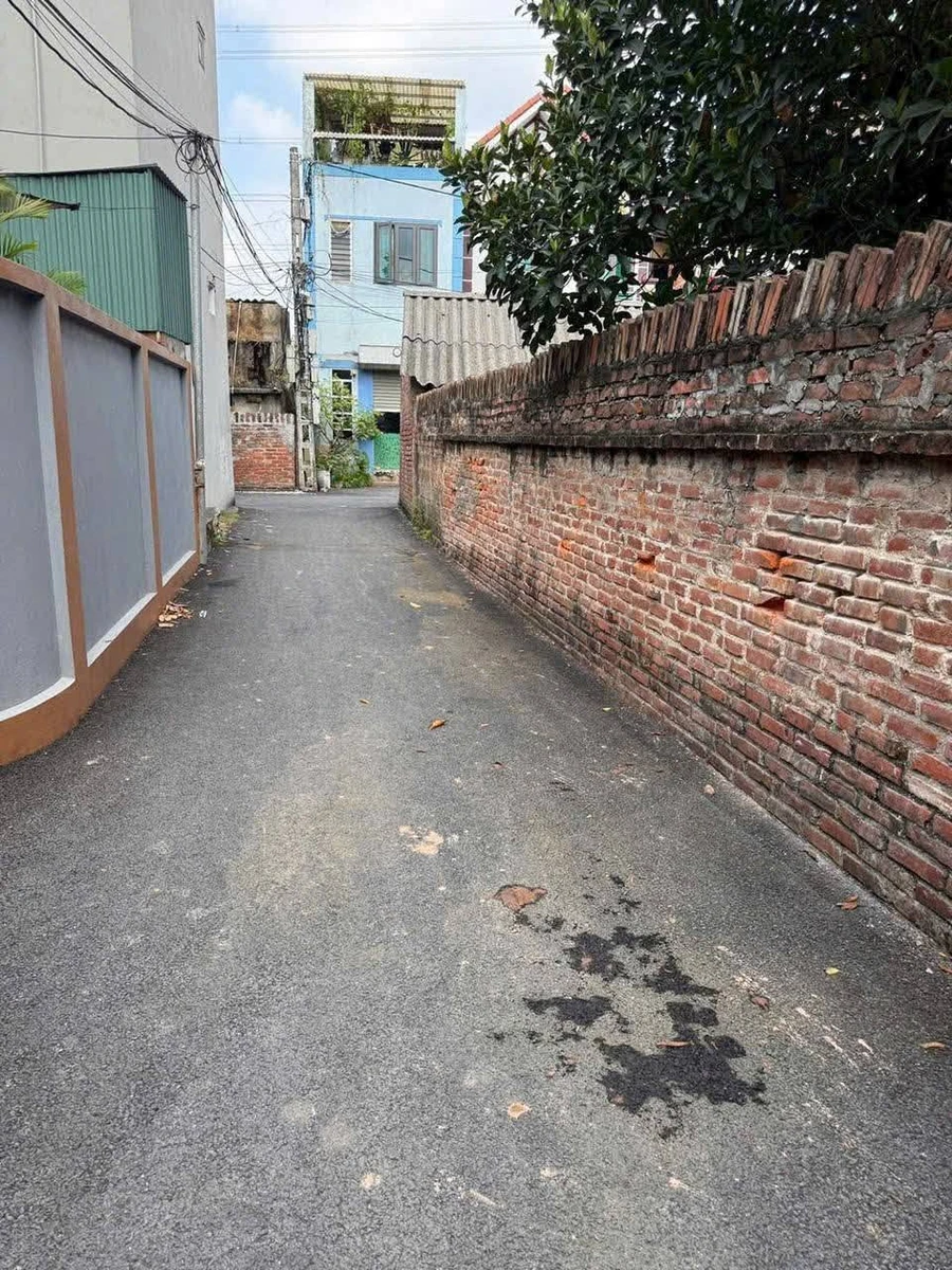 Bán lô đất 100m² An Lạc, Bình Chánh - Ảnh thu nhỏ 2