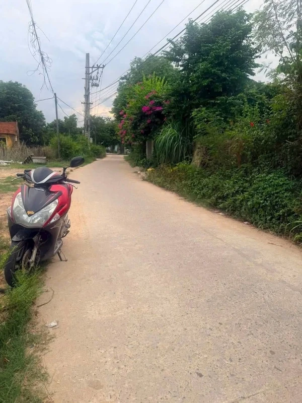 Đất bán 100m2 Nghĩa Thắng Bình Dương giá 330 triệu