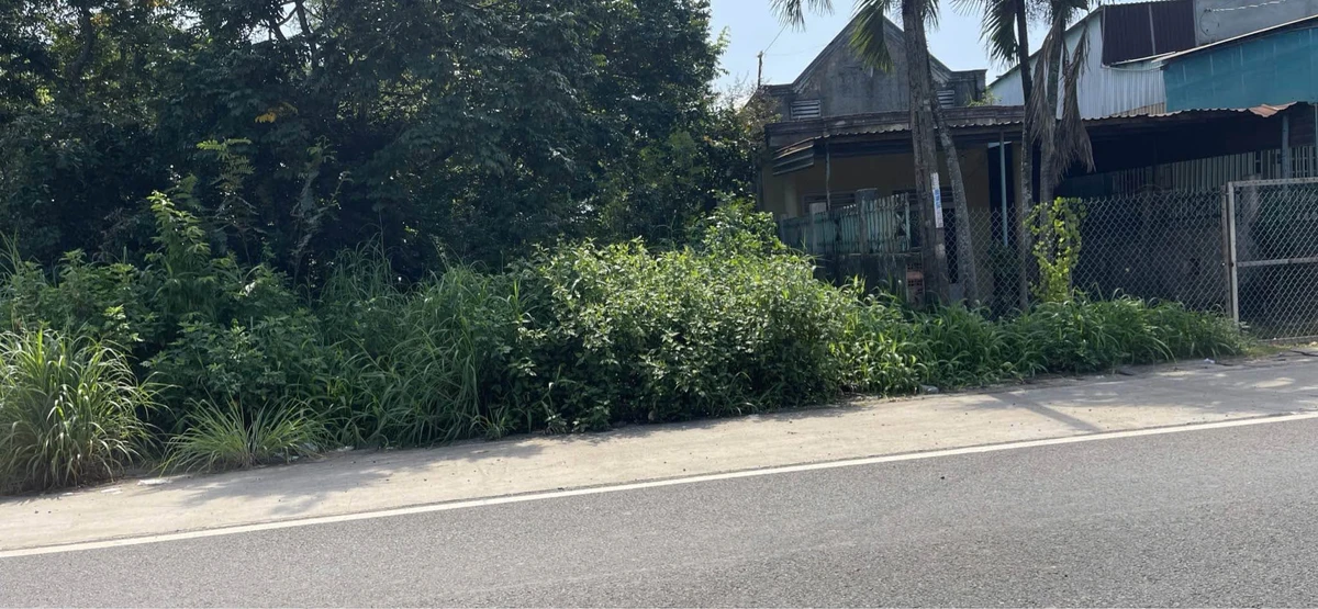 Bán đất mặt tiền Nguyễn Huệ 285m² - 1 tỷ 100 triệu - Ảnh thu nhỏ 2
