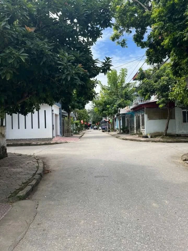 Bán nhà đất 98,4m² Phường Thanh Bình, vừa ở vừa kinh doanh - Ảnh thu nhỏ 2
