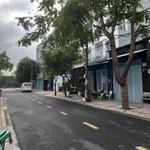 Bán lô đất 160m² biệt thự KDC Nam Hùng Vương, Bình Tân - Ảnh thu nhỏ 1