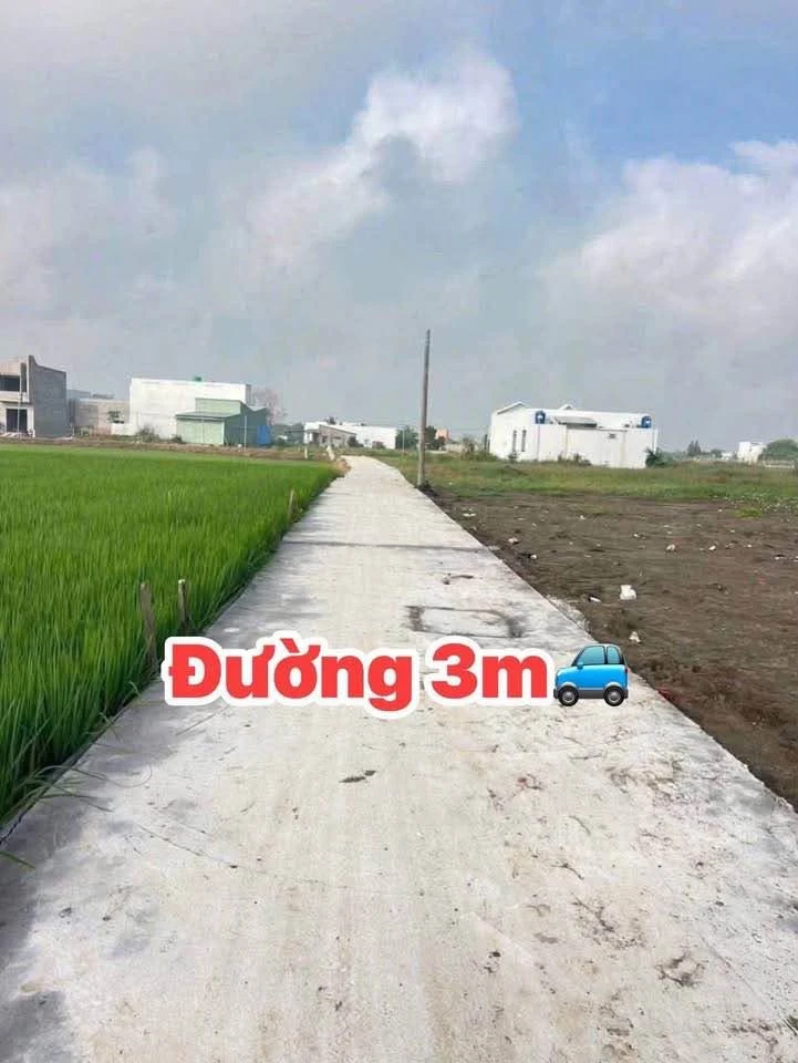 Bán 2 lô đất nên 115m² Phước Vân, Cần Đước, Long An - Ảnh 1