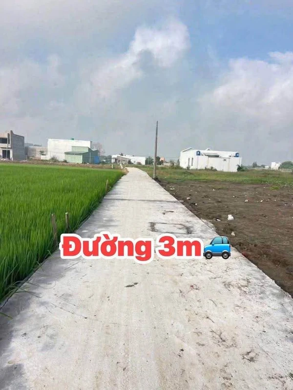 Bán 2 lô đất nên 115m² Phước Vân, Cần Đước, Long An