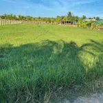 Bán đất 1 sào thị trấn Phú Long Hàm Thắng 699 triệu - Ảnh thu nhỏ 2