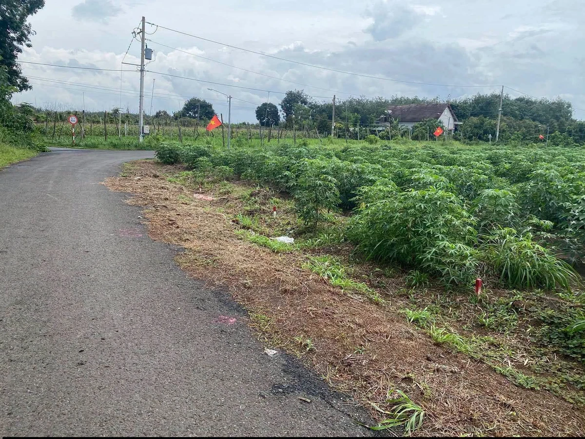 Bán đất 5x35m Tân Hòa, Bình Chánh, 175m² giá 115 triệu - Ảnh 1