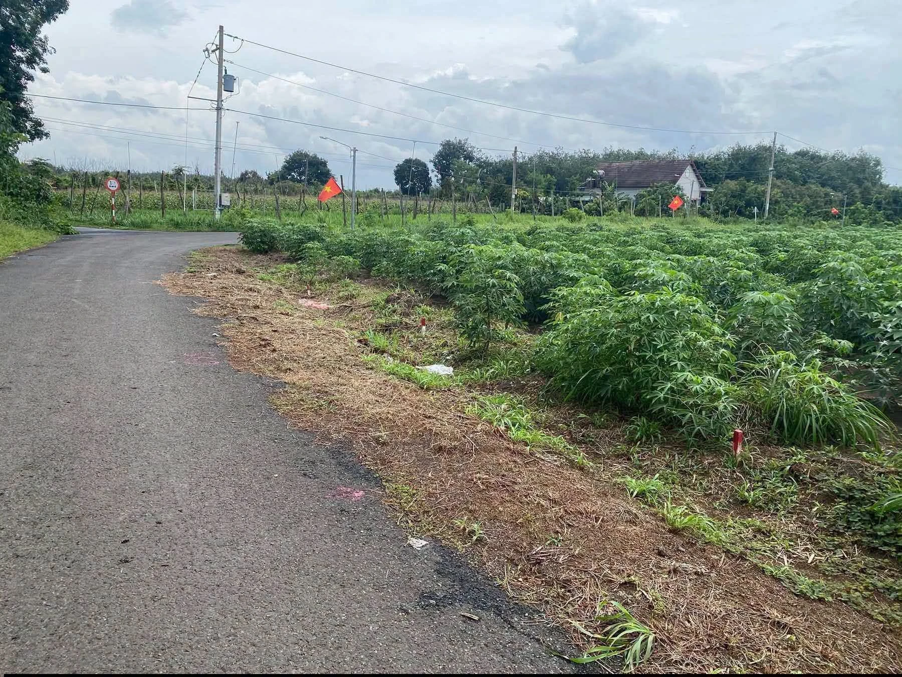 Bán đất 5x35m Tân Hòa, Bình Chánh, 175m² giá 115 triệu - Ảnh 1