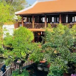 Chuyển nhượng nhà mặt phố Suối Hội Phú Pleiku: 1250m2, sẵn hạ tầng cao cấp, sổ hồng chính chủ - Ảnh thu nhỏ 7