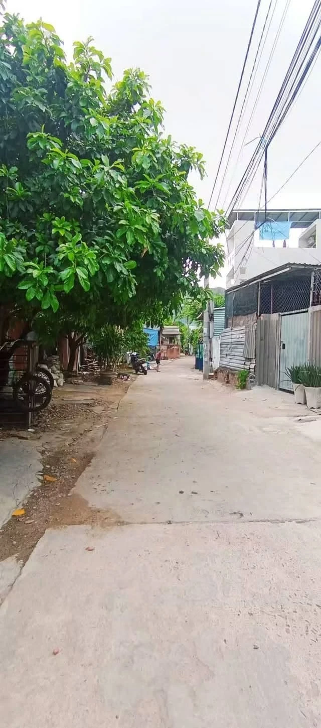 Bán đất hẻm cạn Lạc Long Quân, Quý Nhơn, 71m² - Ảnh 1