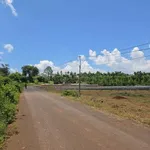 Bán đất mặt tiền 10x48m Tam Giác Vàng Tân Lập 2.45 tỷ - Ảnh thu nhỏ 2