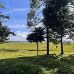 Đất view hồ Ea Nhái 4000m2 xã Cuôr Đăng - Ảnh thu nhỏ 3