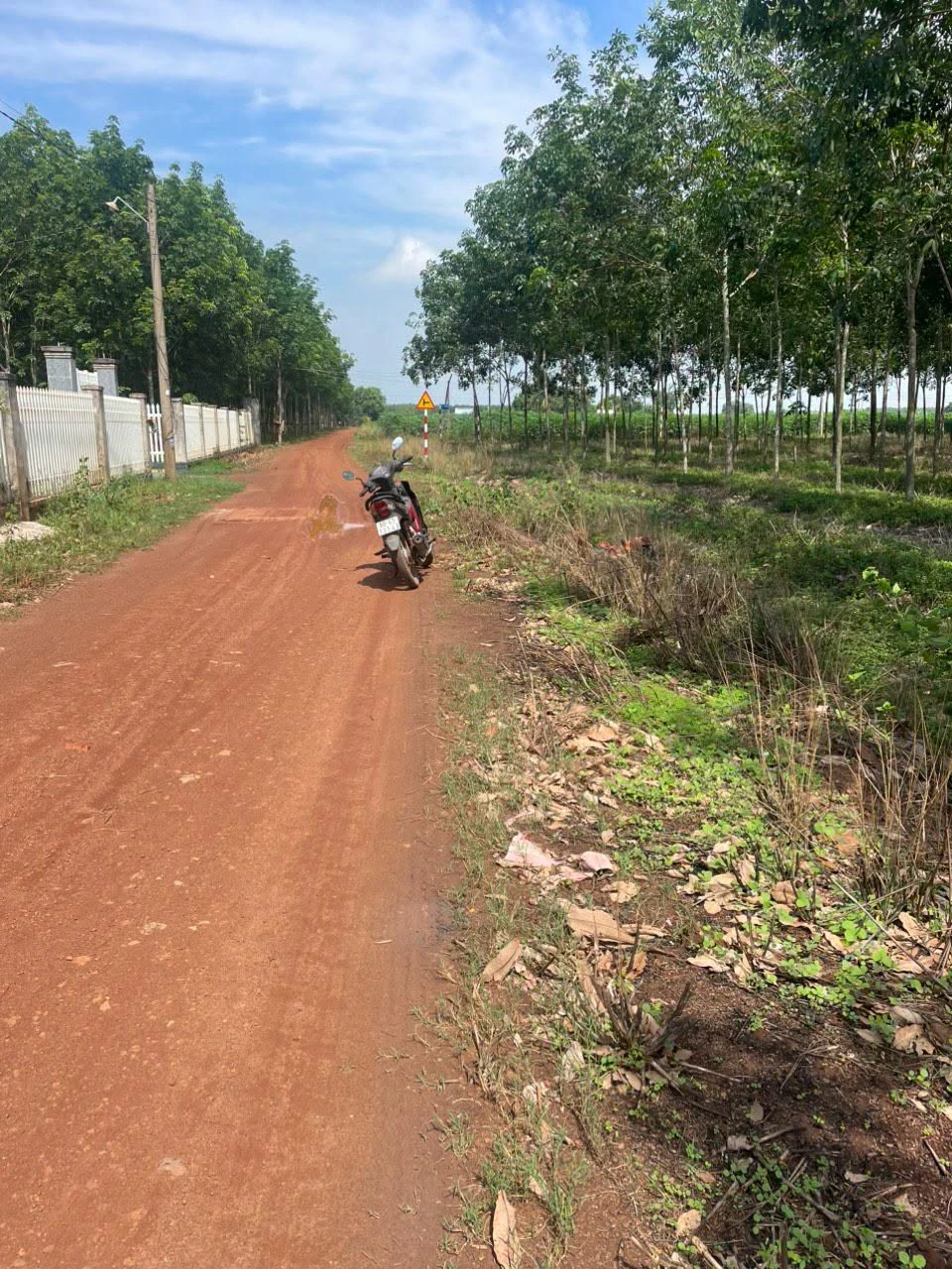 Bán đất thổ cư ngang 5m dài 50m giá 199 triệu tại Suối Dây, Tân Châu, Tây Ninh - Ảnh 1