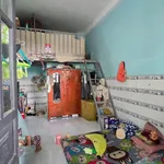 Bán 2 dãy trọ 925m² với 56 phòng, Bắc Tân Uyên - Ảnh thu nhỏ 4